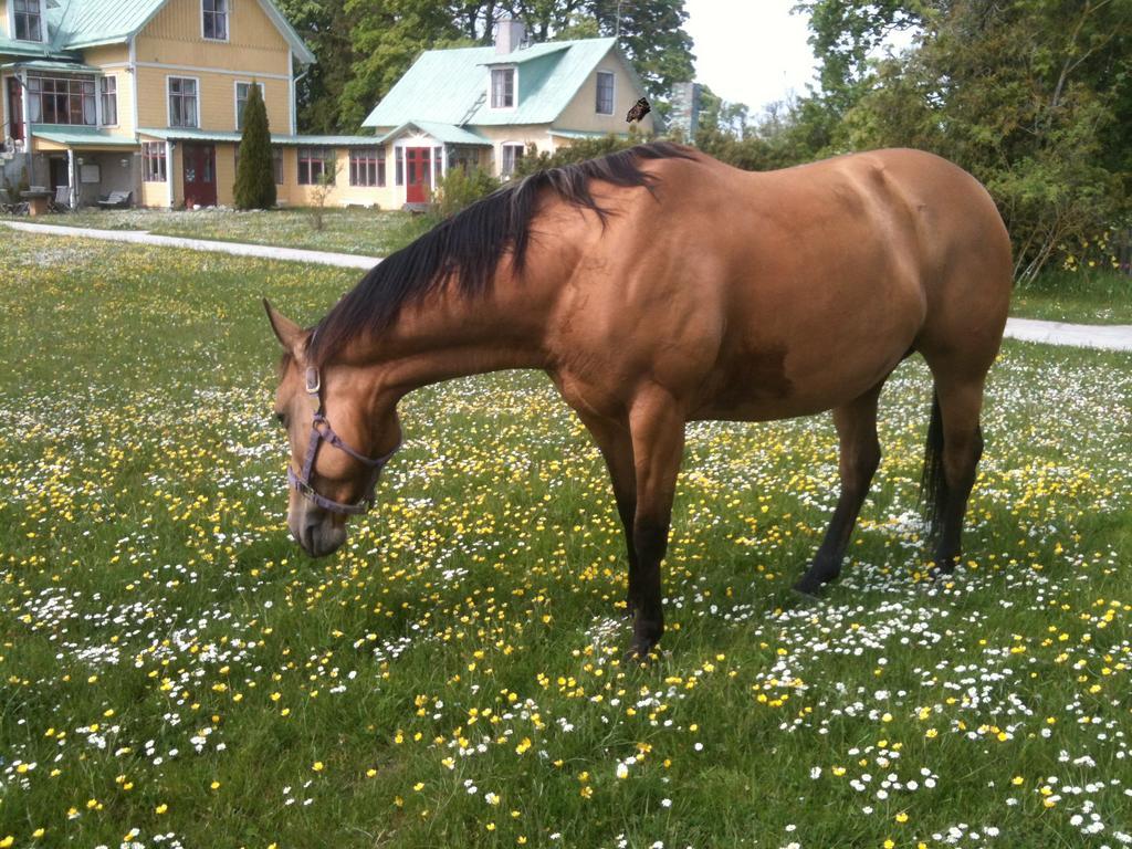 Aenggarde B&B Huse Eksteriør bilde